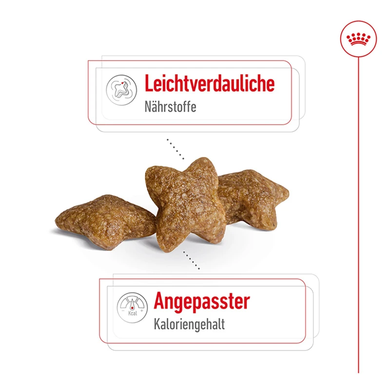 fressnapf ROYAL CANIN Mini Adult 2 kg Kostenloser Versand international