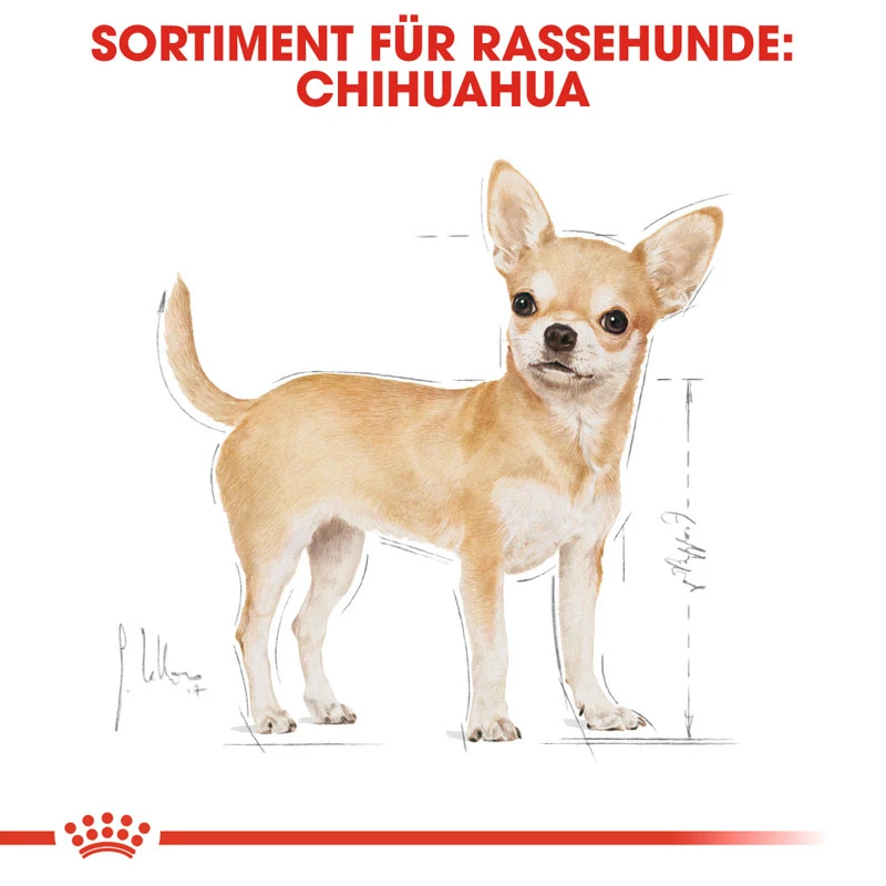 fressnapf ROYAL CANIN Chihuahua Adult 1 5 kg Auslauf