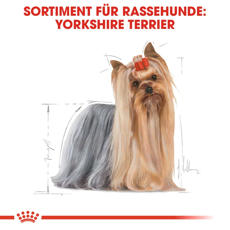 fressnapf ROYAL CANIN Yorkshire Terrier Adult 1 5 kg Verkauf