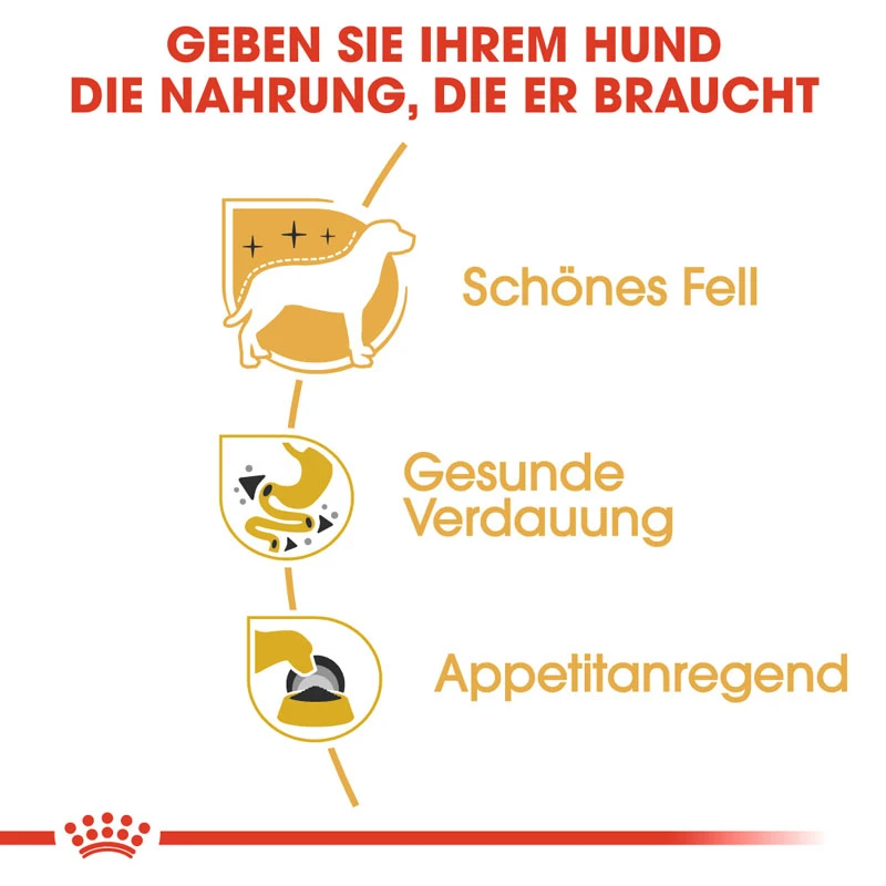 fressnapf ROYAL CANIN Chihuahua Adult Mousse 12x85 g Meist gekauft