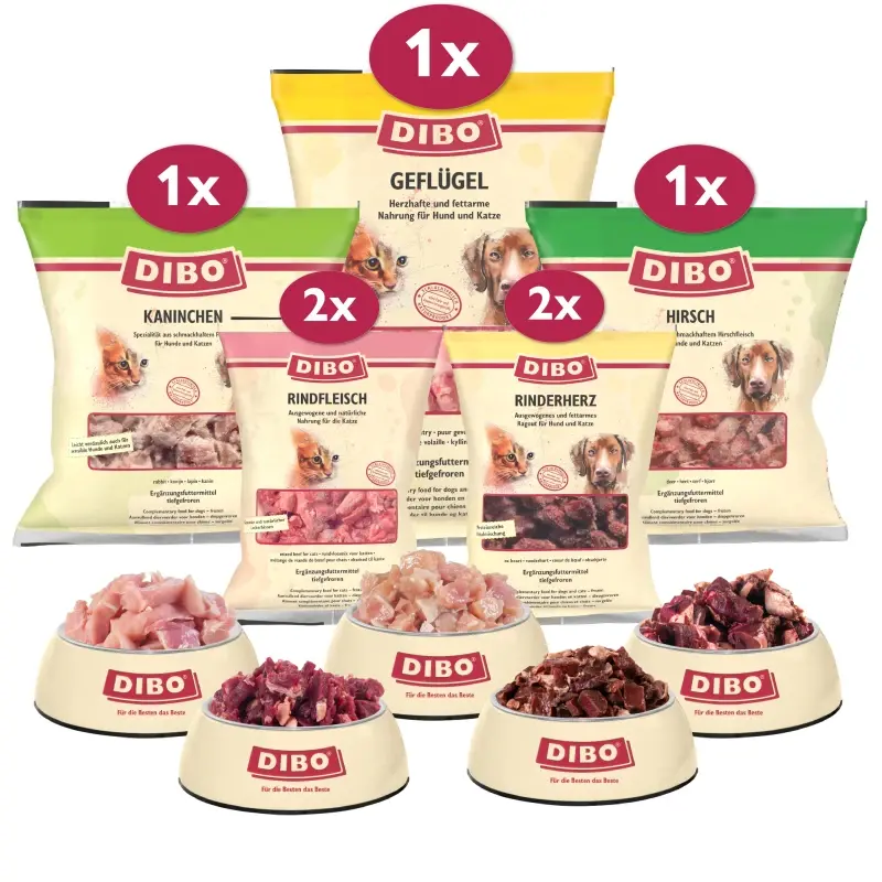 fressnapf DIBO Frostfutter Alles für die Katze Bundle 50% Rabatt für begrenzte Zeit