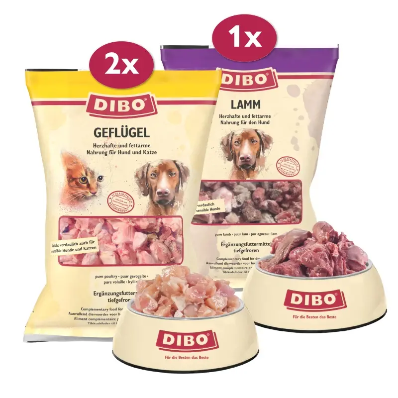 fressnapf DIBO Frostfutter Geflügel & Lamm Bundle 2025