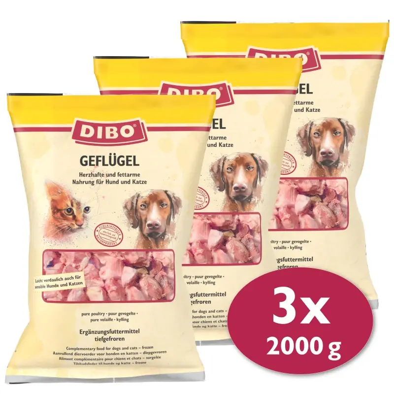 fressnapf DIBO Frostfutter Geflügel 3x2 kg Fabrikverkauf