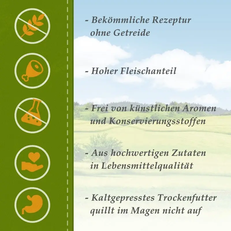 fressnapf Bellfor Diät-Futterset mit kaltgepresstem Trockenfutter für große Hunderassen 4 220 g Versandkostenfrei