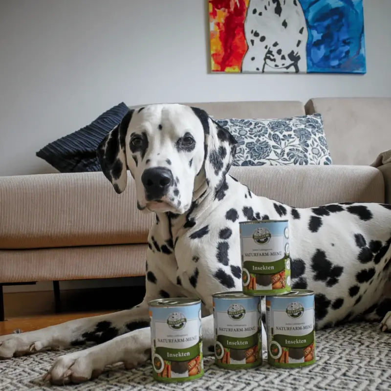 fressnapf Bellfor Hundefutter Nass mit Insekten - Naturfarm-Menü - 400g Große Rabatte