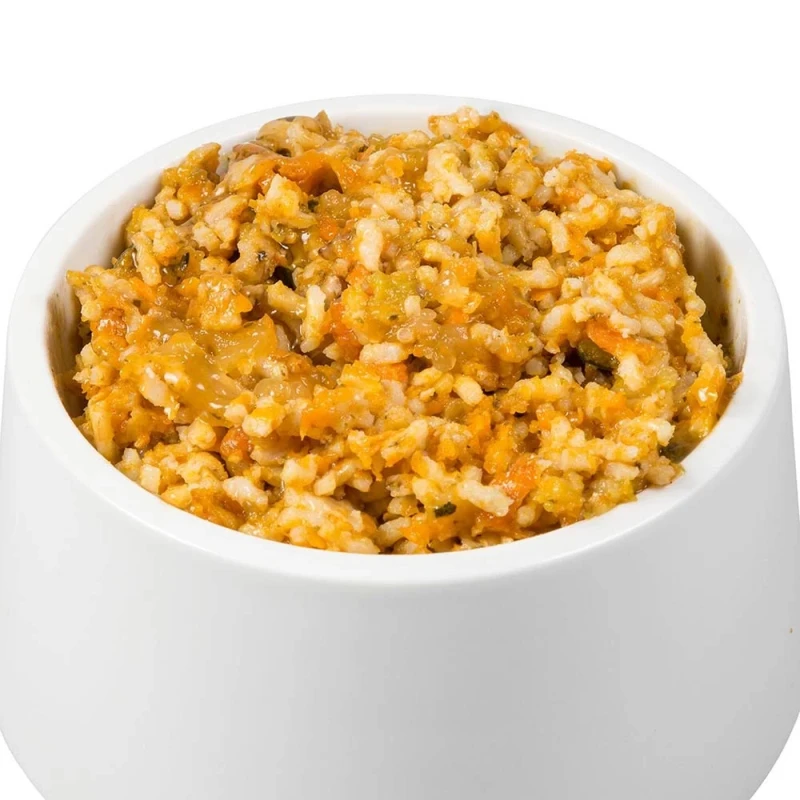 fressnapf Sanoro BIO Gemüse-Obst-Mix 2 mit Bio-Reis 12x400g Letzter Tag