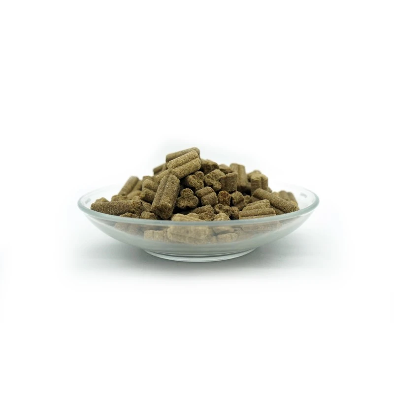 fressnapf Bellfor Trockenfutter für Hunde mit Lachs und Forelle Forstbach-Schmaus - 10 kg Bis zu 60% Rabatt