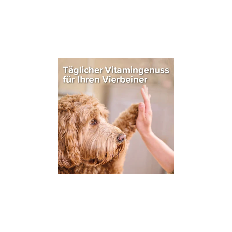 fressnapf Beaphar Multi Vitamin Paste Hund 250g Sonderangebot der Fabrik