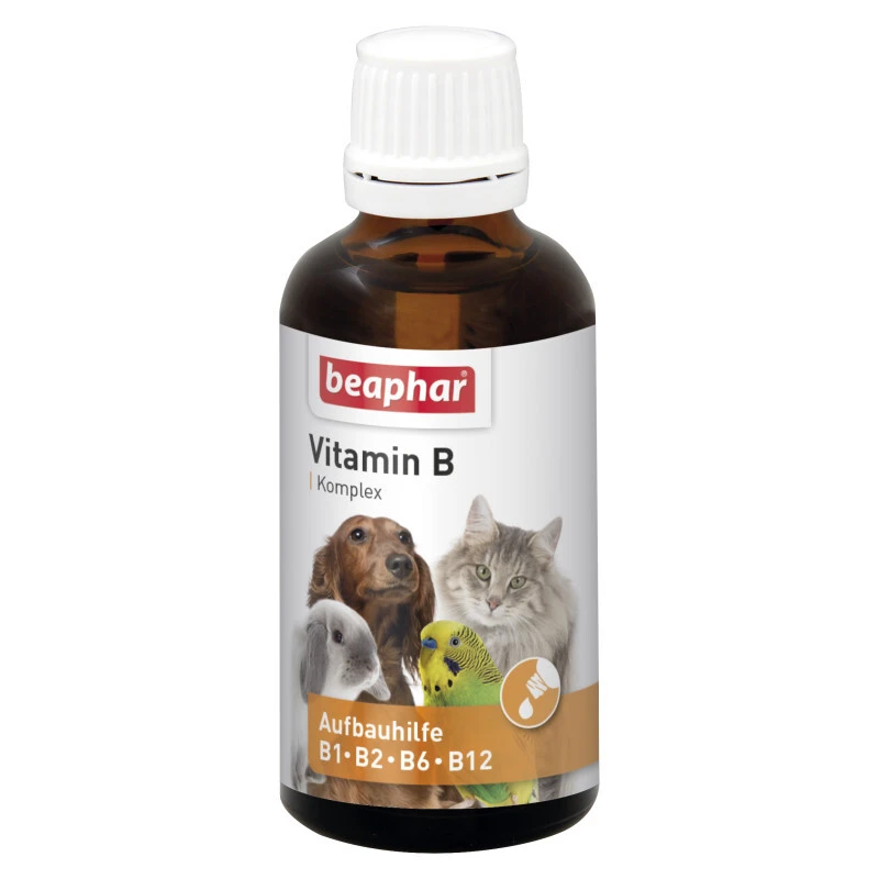 fressnapf Beaphar Vitamin-B-Komplex 50ml Discount Store für neue Produkte