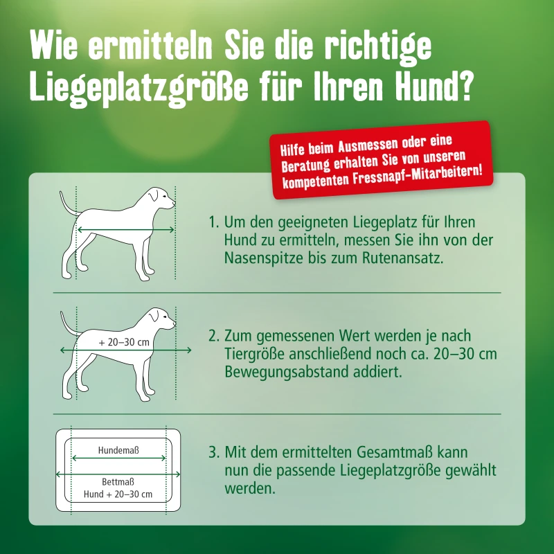 fressnapf MORE Liegeplatz Ortho S Wochenangebot