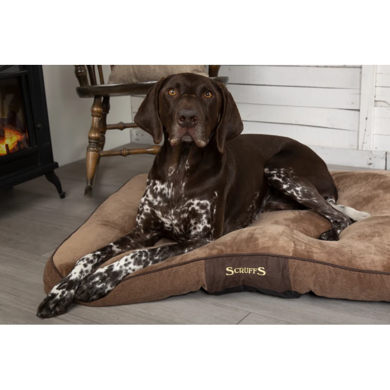 fressnapf Scruffs Hundekissen CHESTER braun L Bis zu 55% Rabatt