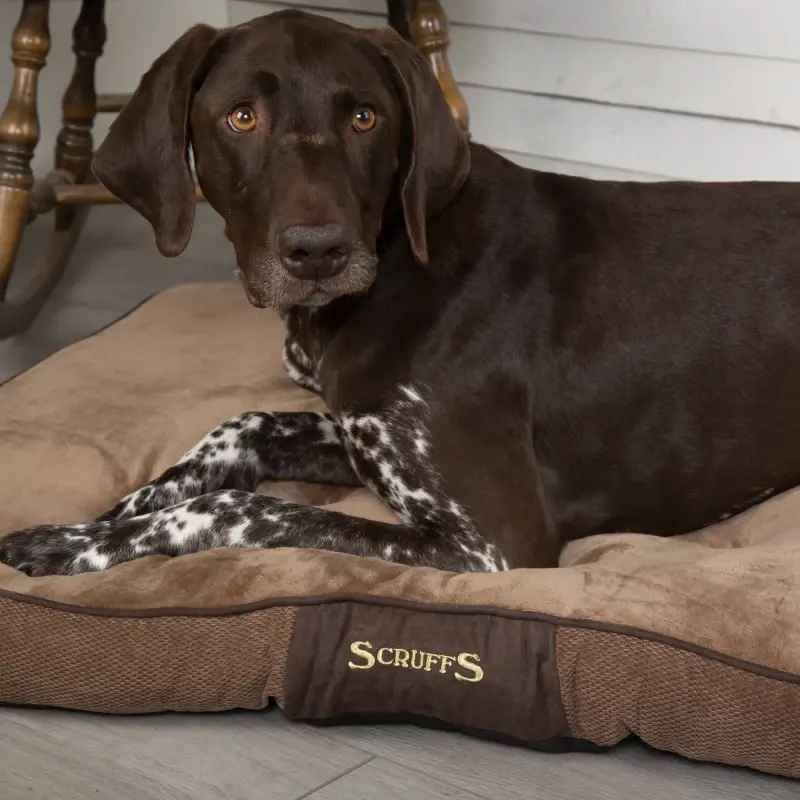 fressnapf Scruffs Hundekissen CHESTER braun L Bis zu 55% Rabatt