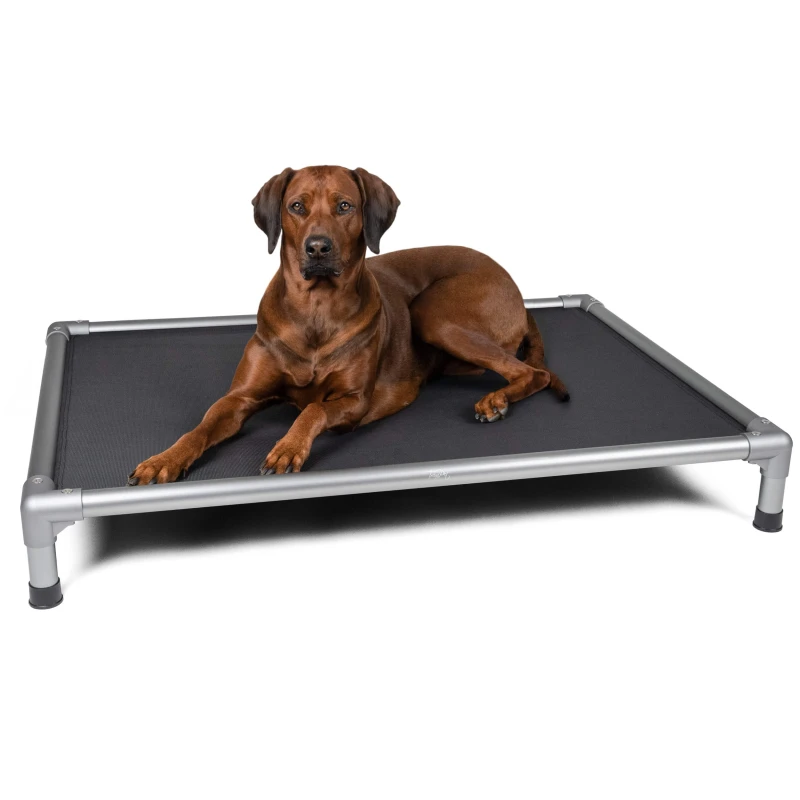 fressnapf TrendPet HighBed Hochbett für Hunde grau M 50% Rabatt für begrenzte Zeit