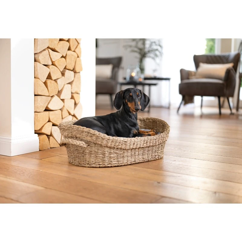 fressnapf AniOne Korbbett S Top Angebot
