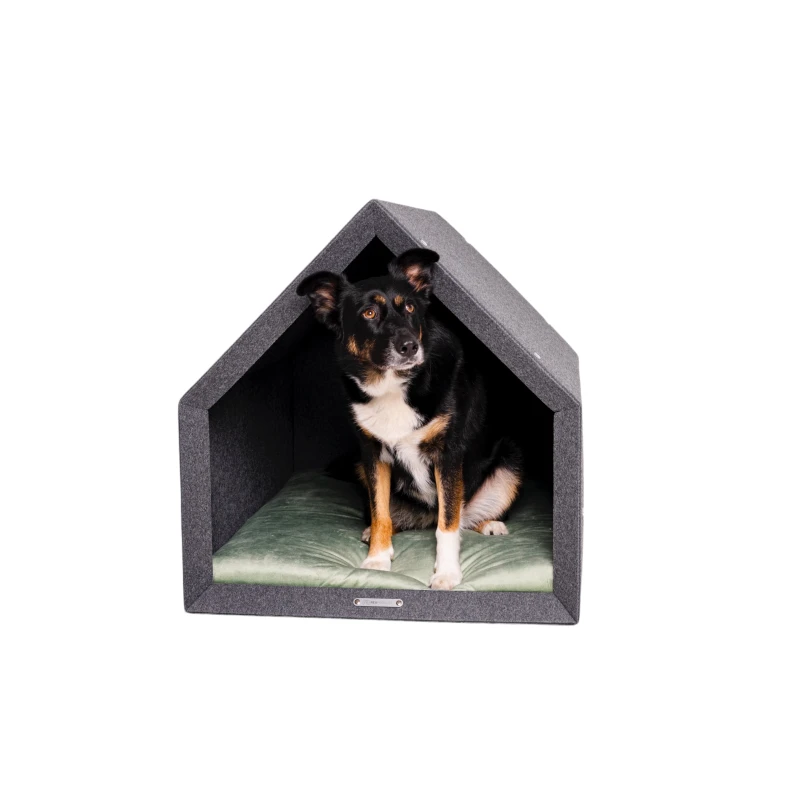 fressnapf Rexproduct Pethome 2.0 dunkelgrau grau/ grün S Kostenloser Versand international