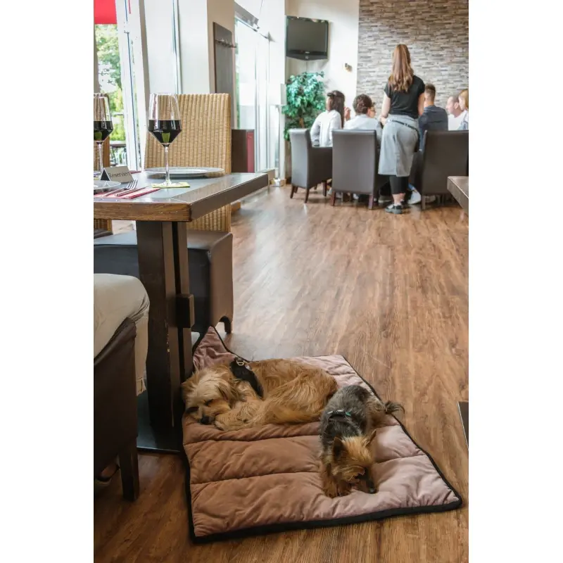 fressnapf TrendPet Meine Restaurantdecke altrosa M Fabrikladen