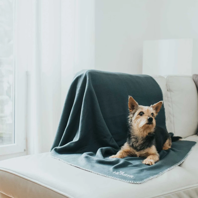 fressnapf Hunter Hundedecke Casper grün 1 m 3 mm 1 m Blitzverkäufe