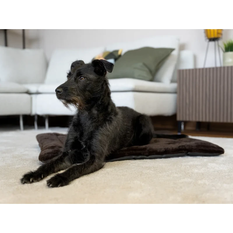 fressnapf TrendPet Harmony Flex gefütterte Liegedecke Unterseite schmutzunempfindlich XS Limitierter Zeitrabatt