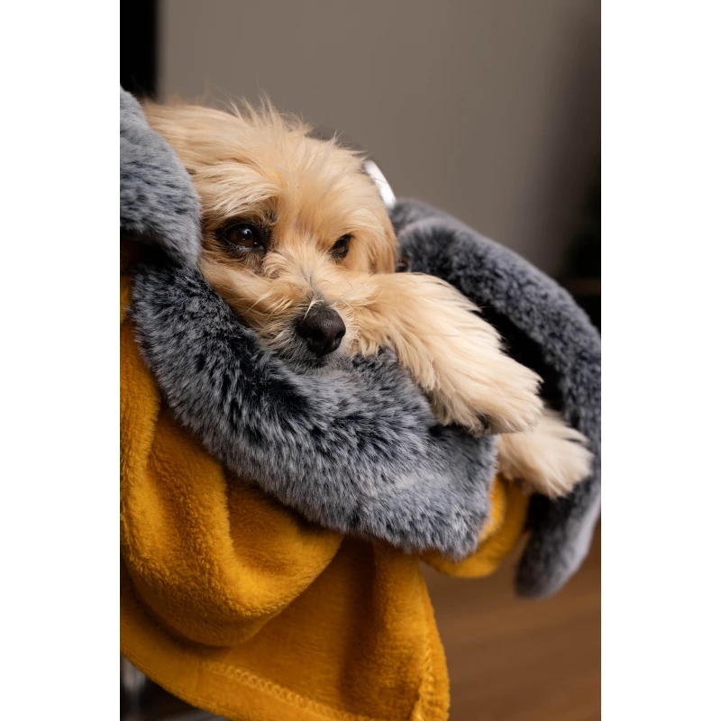 fressnapf TrendPet Yuma Hundedecke XS Fabrik Onlineshop