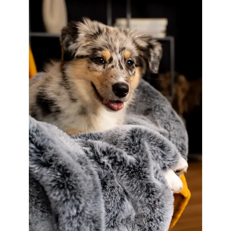fressnapf TrendPet Yuma Hundedecke XS Fabrik Onlineshop