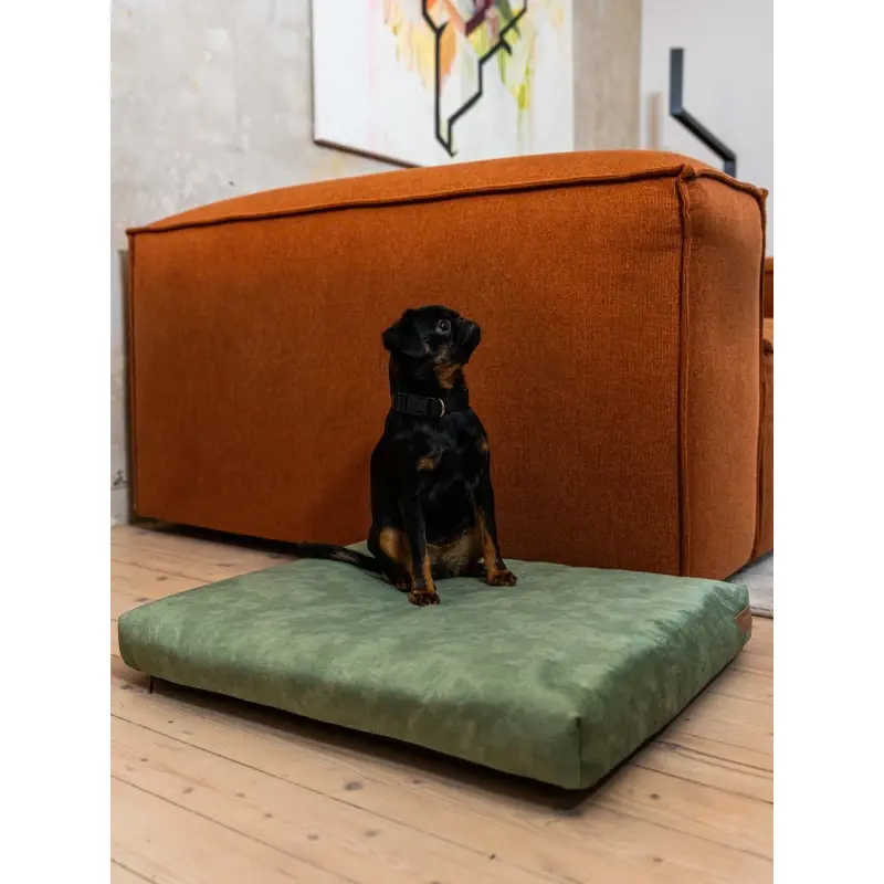fressnapf Rexproduct SoftPet Matratze grün S Online Shopping