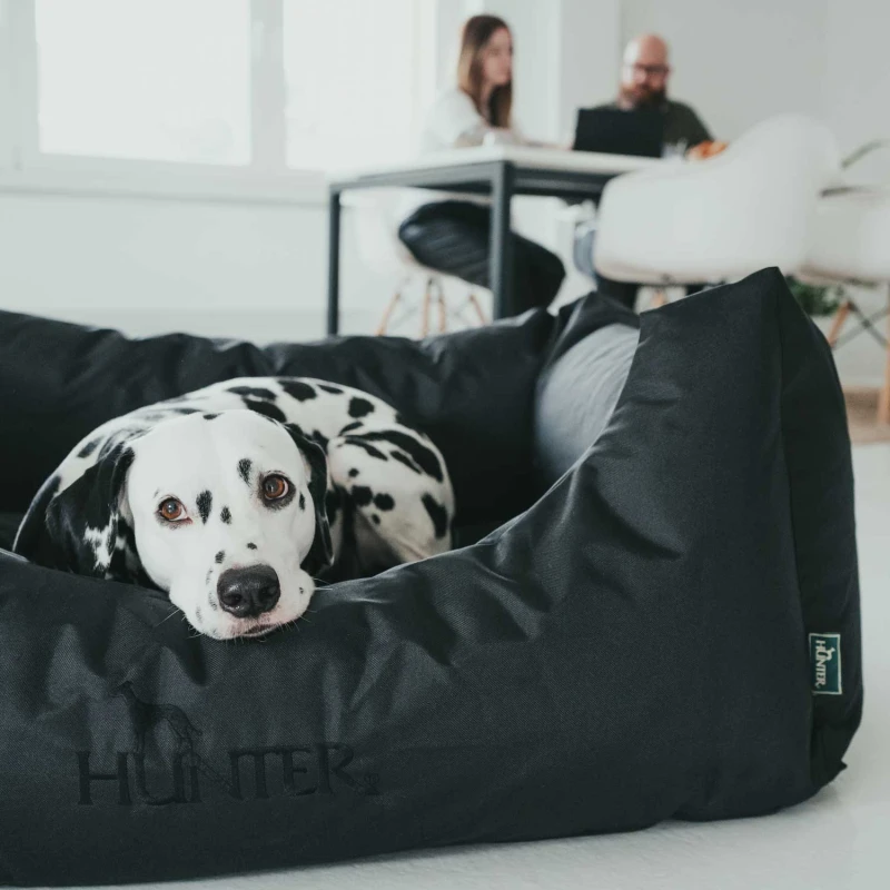 fressnapf Hunter Hundesofa Gent Antibakteriell braun S Bis zu 55% Rabatt