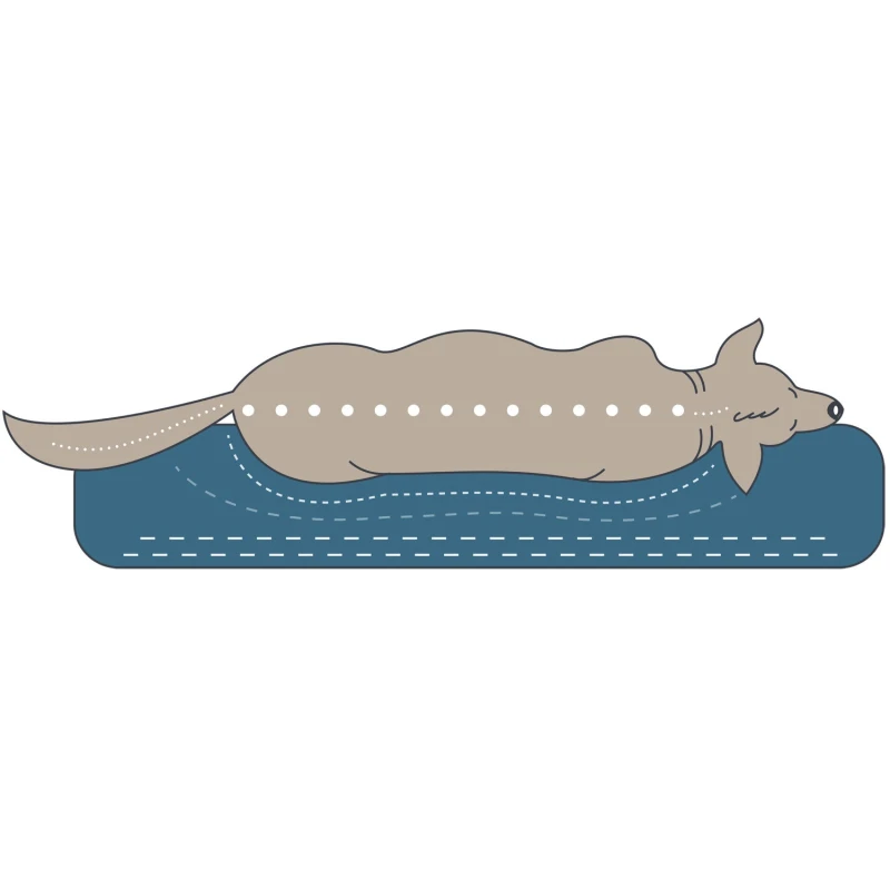 fressnapf Hunter Orthopädisches Hundesofa Merida anthrazit 60 cm 22 cm 60 cm Speichern exportieren