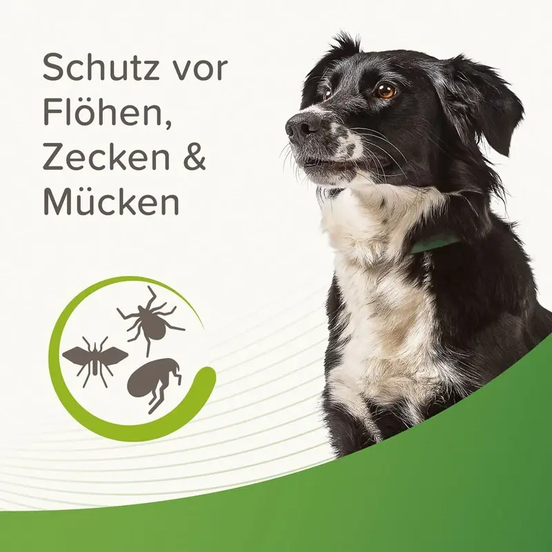 fressnapf Beaphar Zecken- und Flohschutz Halsband für Hunde Begrenztes Angebot