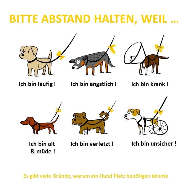 fressnapf Curli Anhänger Yellow Dog Heißer Verkauf
