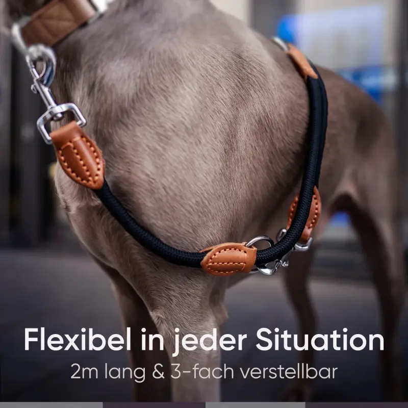 fressnapf Freudentier Hundeleine Begrenzt auf 3 Tage