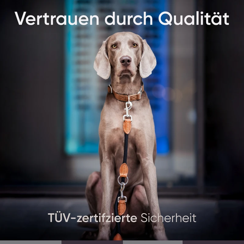 fressnapf Freudentier Hundeleine Begrenzt auf 3 Tage