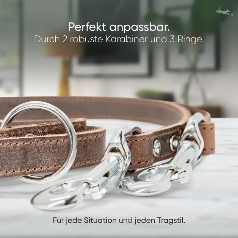 fressnapf Freudentier Führleine aus Leder dunkelbraun 1 6 cm zollfrei