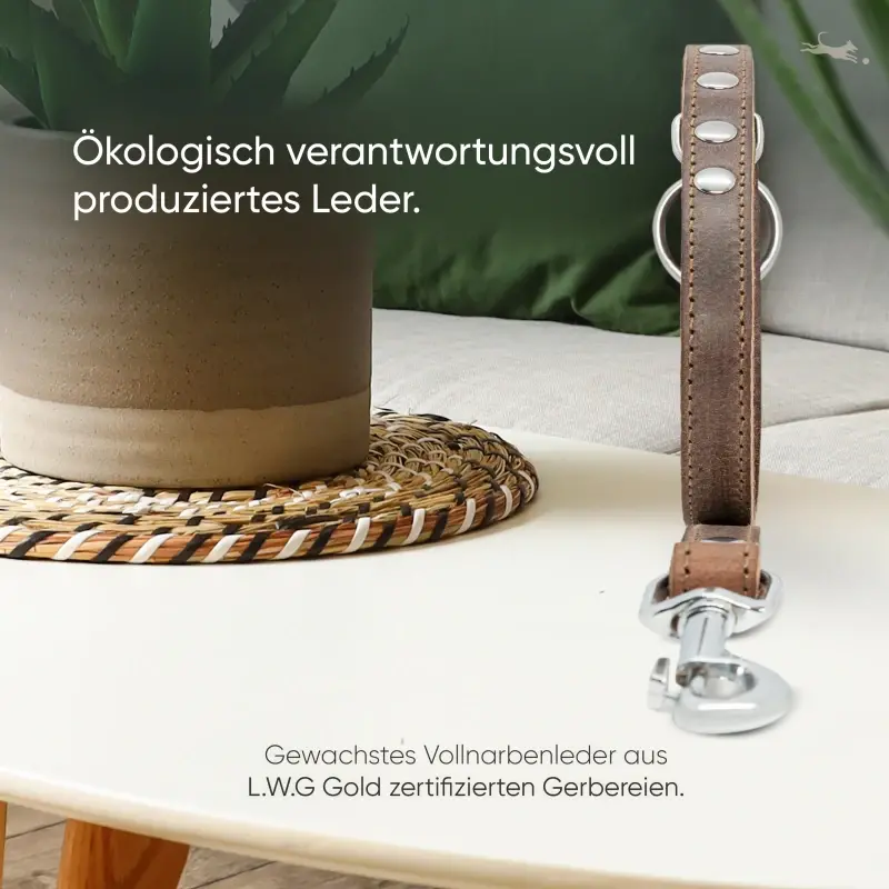fressnapf Freudentier Führleine aus Leder dunkelbraun 1 6 cm zollfrei