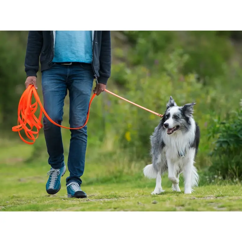 fressnapf THE DOG IDEA Schleppleine Orange 5 m Online