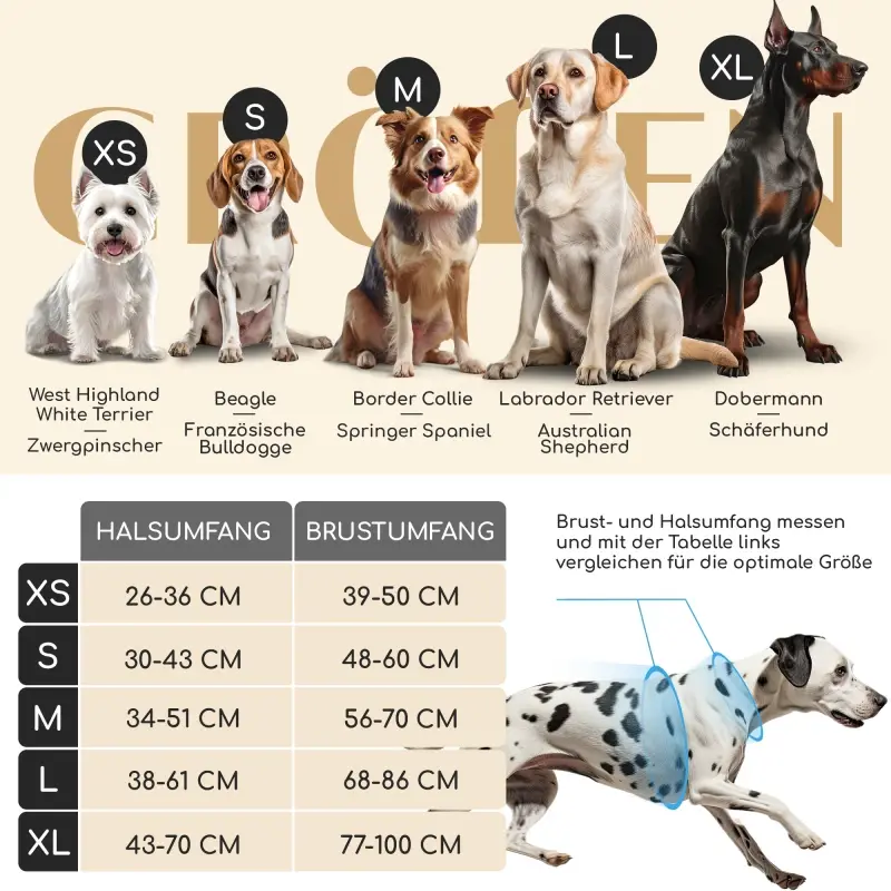 fressnapf Freudentier atmungsaktives Hundegeschirr "Let's get Foxy" S Günstig kaufen