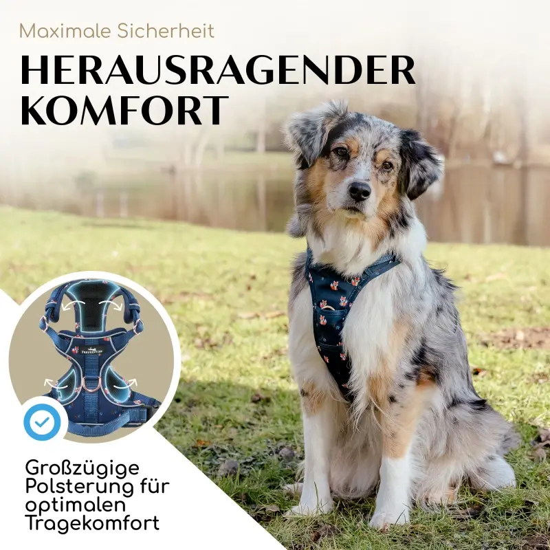 fressnapf Freudentier atmungsaktives Hundegeschirr "Let's get Foxy" S Günstig kaufen