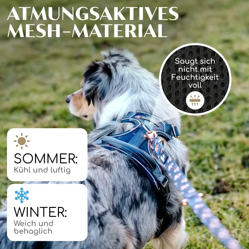 fressnapf Freudentier atmungsaktives Hundegeschirr "Let's get Foxy" S Günstig kaufen