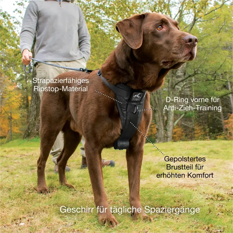 fressnapf Kurgo Tru-Fit Smart Hundegeschirr XS Großer Ausverkauf