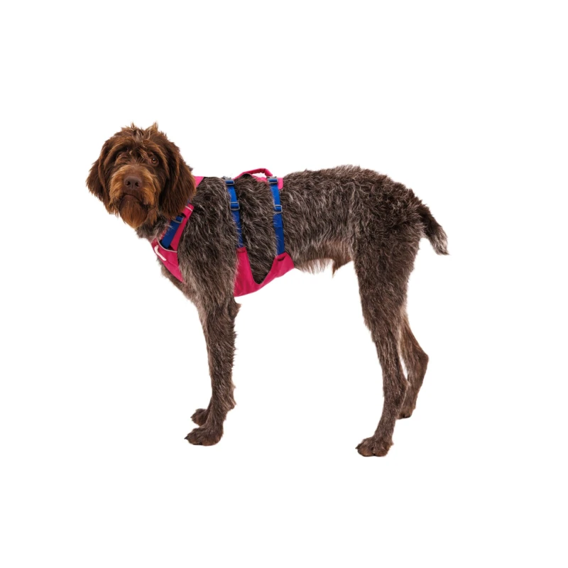 fressnapf Ruffwear Flagline™ Geschirr pink XS Preisnachlass