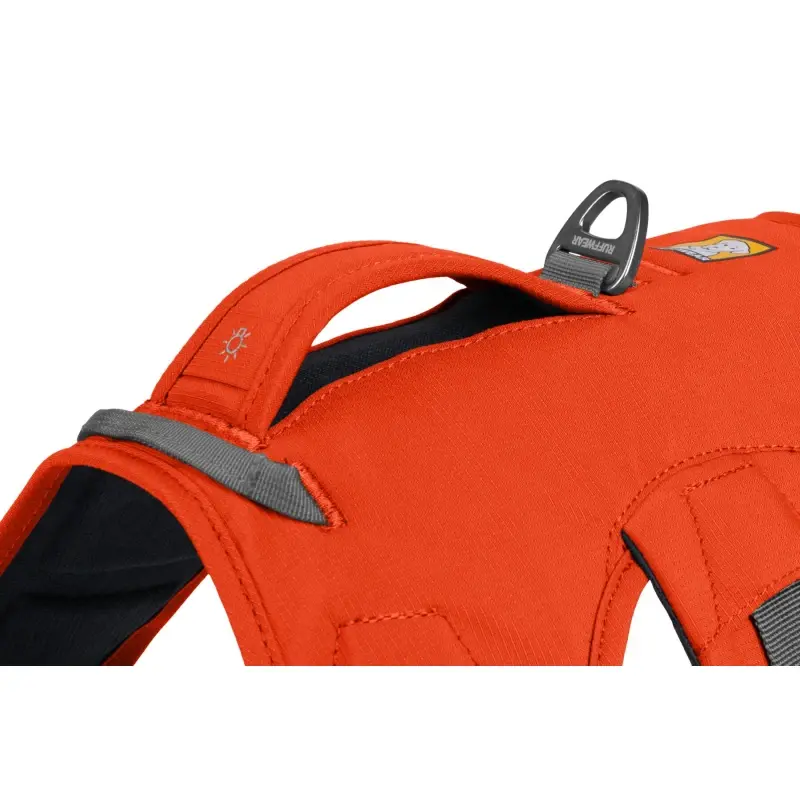fressnapf Ruffwear Web Master™ Geschirr orange M Cyber Monday