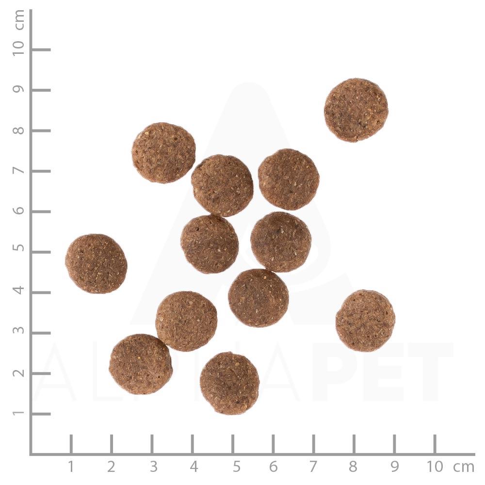 petspremium daily choice mit Geflügel Reis und Erbsen Basic Trockenfutter 15 kg Speichern exportieren