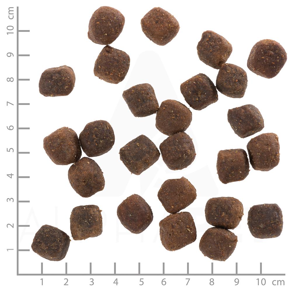 petspremium Wolfsblut Deep Glade - Rothirsch und Wasserbüffel Adult Trockenfutter 2 x 12 5 kg Kostenloser Versand