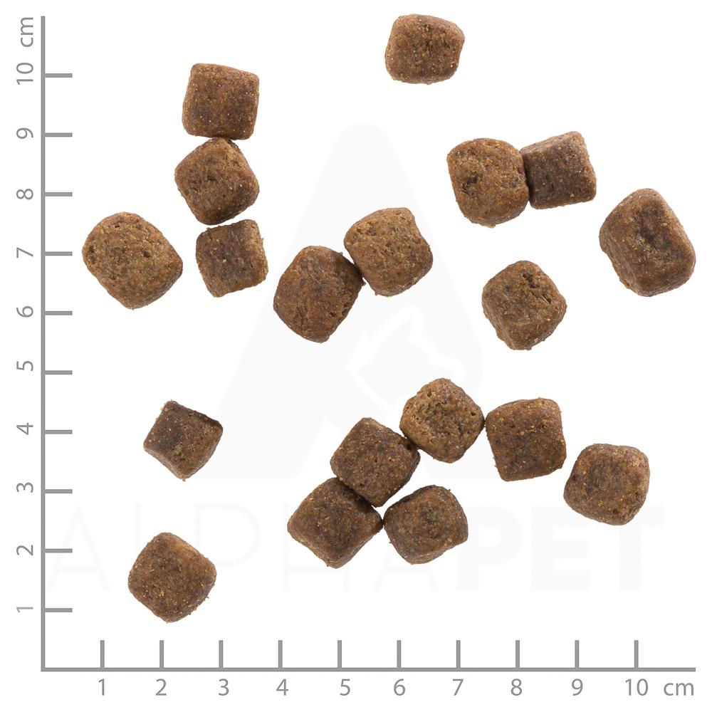 petspremium Wolfsblut Wild Duck & Turkey - Ente Truthahn und Süßkartoffel Adult Trockenfutter 2 x 12 5 kg Rabatte dieses Monats