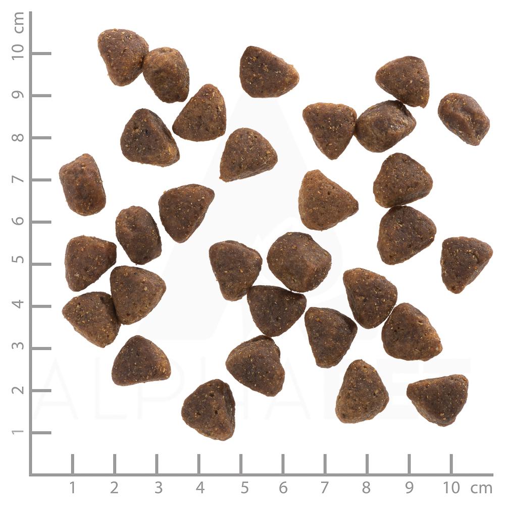 petspremium Wolfsblut Hunters Pride - Fasan Ente und Kaninchen Adult Trockenfutter 12 5 kg Auslauf