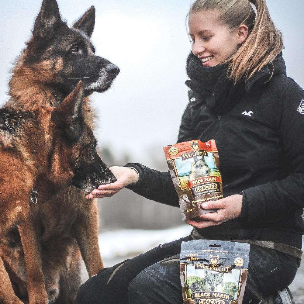petspremium Wolfsblut Wide Plain - Pferdefleisch & Süßkartoffel Cracker Snack 6 x 225 g Hotsell