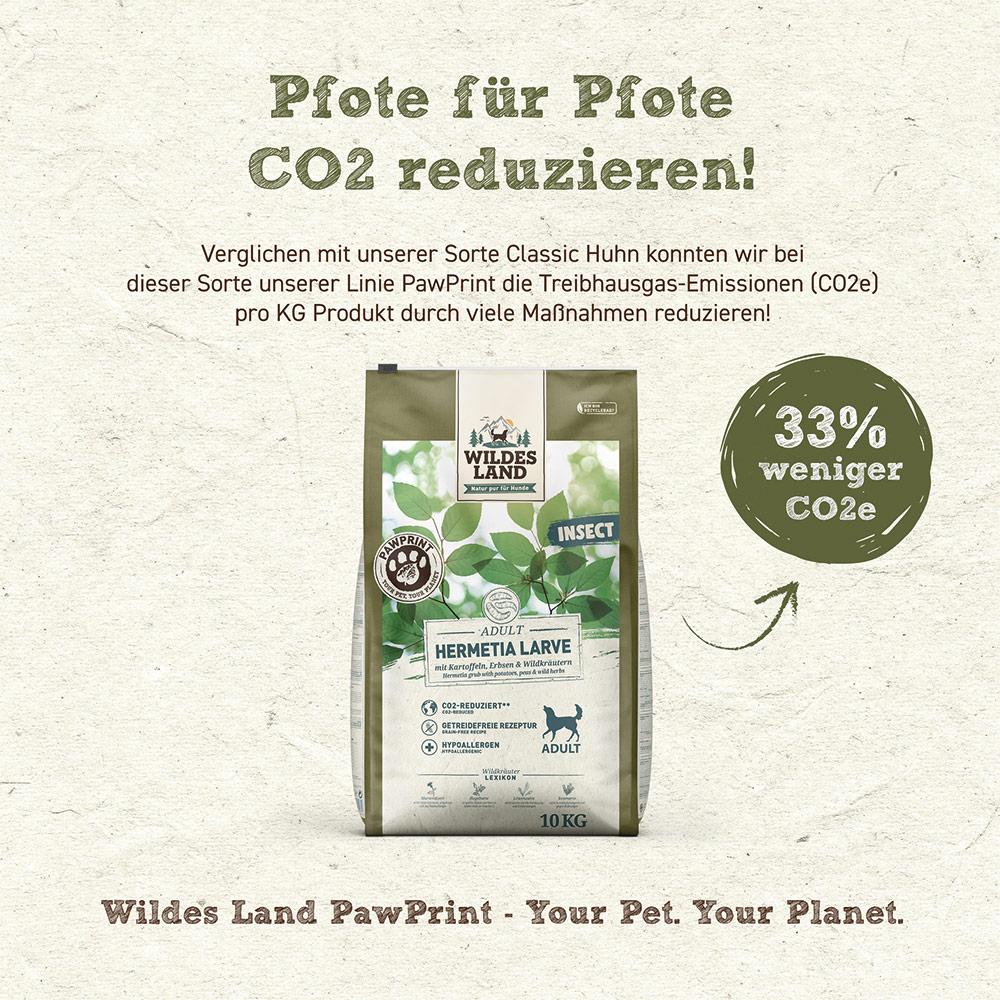 petspremium Wildes Land PAWPRINT INSECT Hermetia Larve mit Kartoffeln Erbsen und Wildkräutern Adult Trockenfutter 10 kg Fabrik Onlineshop