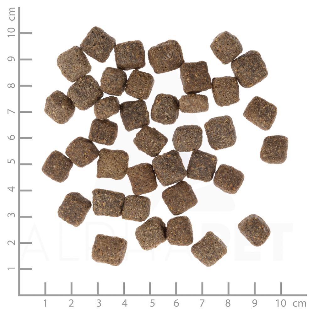petspremium Wolfsblut Dark Forest Senior Trockenfutter 12 5 kg Blitzangebot