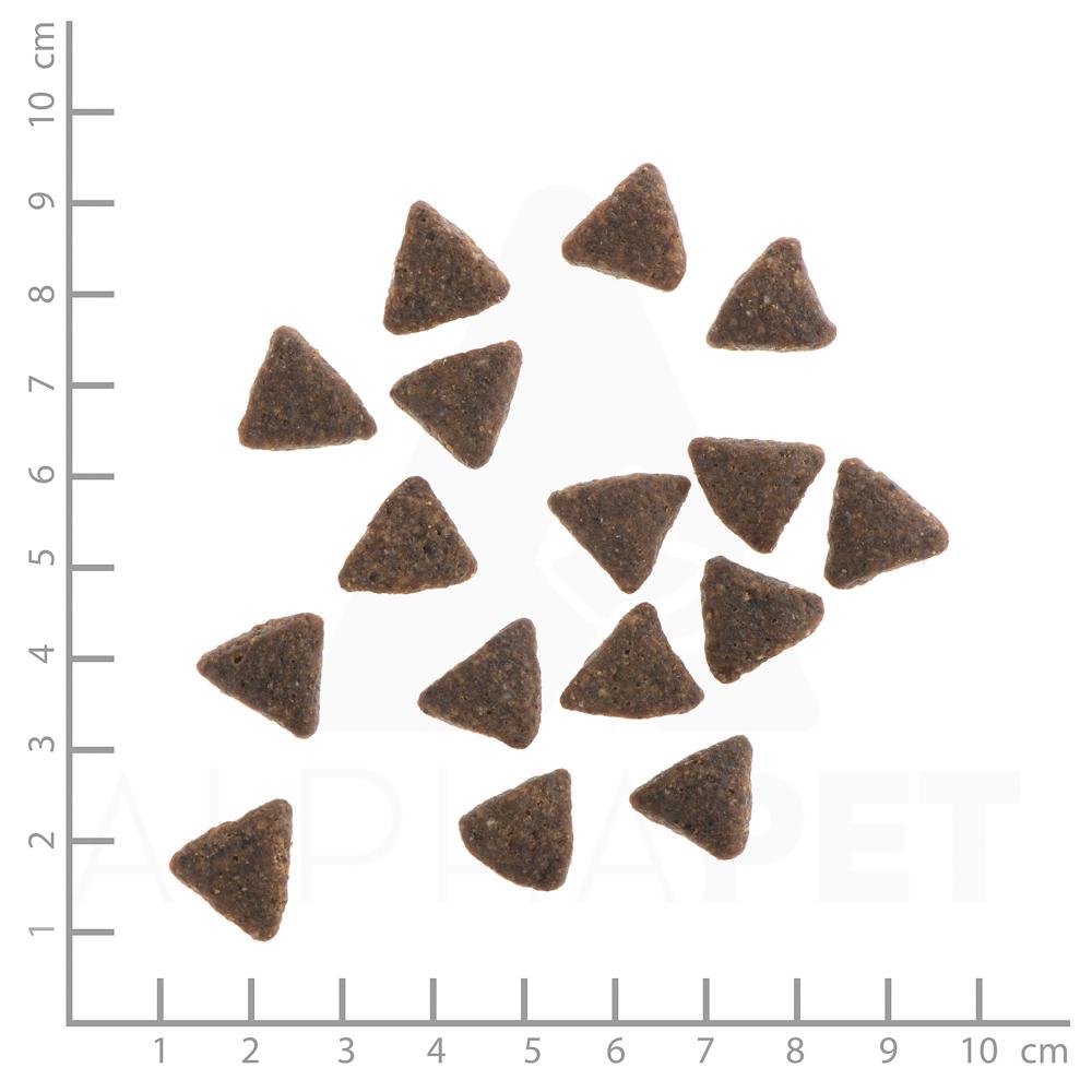 petspremium Wildes Land Pferd mit Kartoffeln und Wildkräutern Classic Adult Trockenfutter 12 kg Bis zu 55% Rabatt