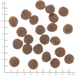 petspremium Wolfsblut Hypoallergenic VetLine Trockenfutter 2 x 12 kg Kostenloser Versand international