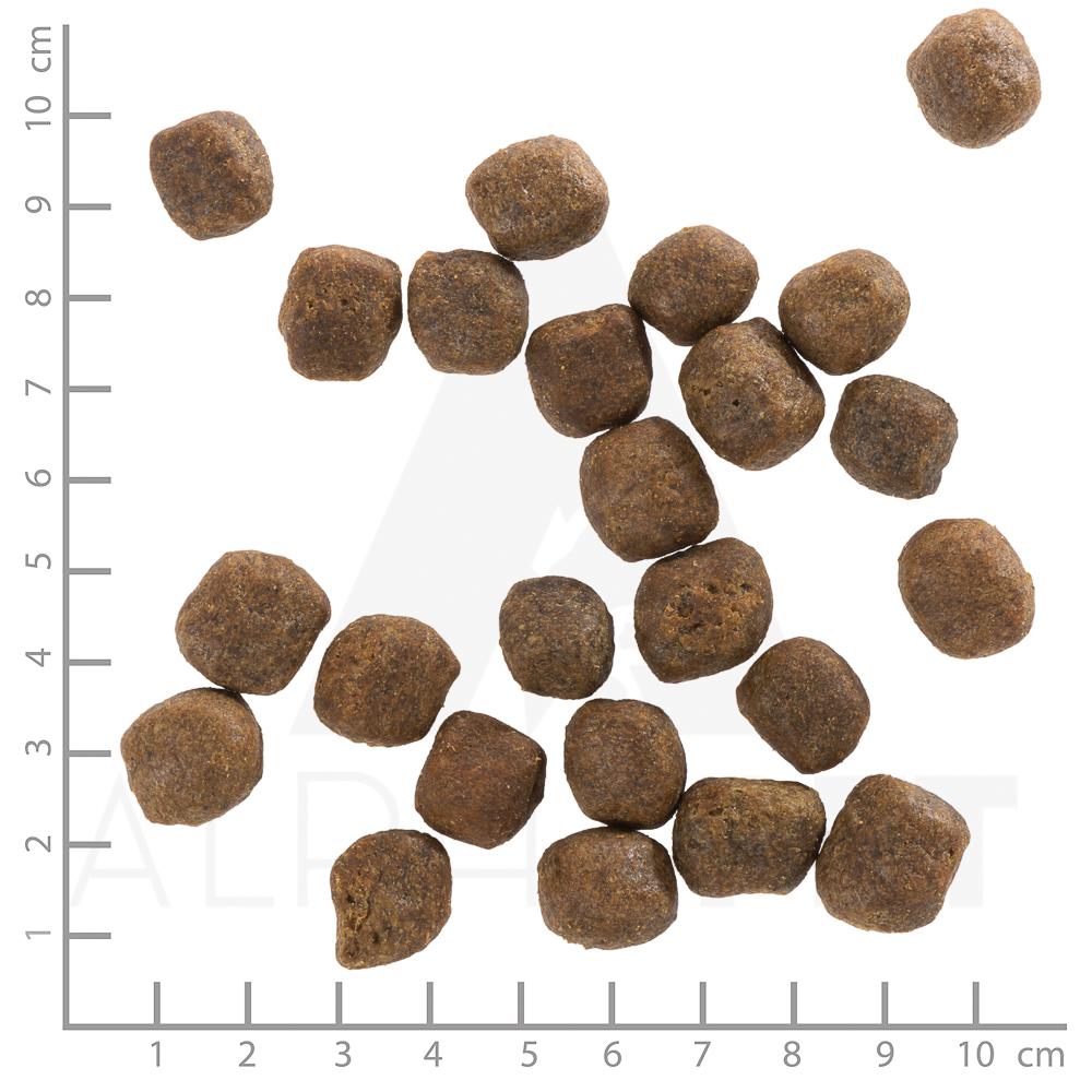 petspremium Wolfsblut Cold River - Forelle und Süßkartoffel Adult Trockenfutter 12 5 kg Auslauf